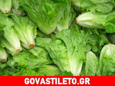 Μαρούλι: Το χειμωνιάτικο λαχανικό με τα πολύτιμα συστατικά